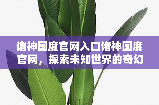 诸神国度官网入口诸神国度官网，探索未知世界的奇幻之旅，探索未知世界的奇幻之旅，诸神国度官网入口