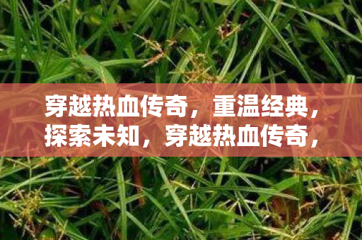 穿越热血传奇图片