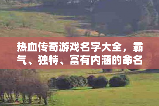 热血传奇游戏名字大全图片