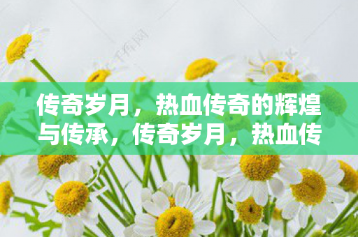 传奇岁月,热血传奇的辉煌与传承,传奇岁月,热血传奇的辉煌与传承 传奇岁月,热血传奇的辉煌与传承,传奇岁月,热血传奇的辉煌与传承