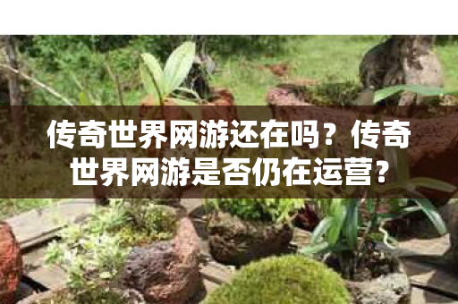 传奇世界网游是否仍在运营图片