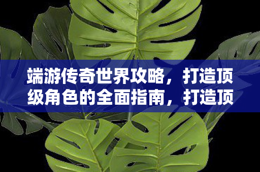 打造顶级角色的全面指南图片