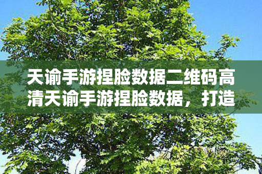 天谕手游捏脸数据二维码高清天谕手游捏脸数据,打造你的专属虚拟形象,天谕手游捏脸数据,打造专属虚拟形象二维码 天谕手游捏脸数据二维码高清天谕手游捏脸数据,打造你的专属虚拟形象,天谕手游捏脸数据,打造专属虚拟形象二维码