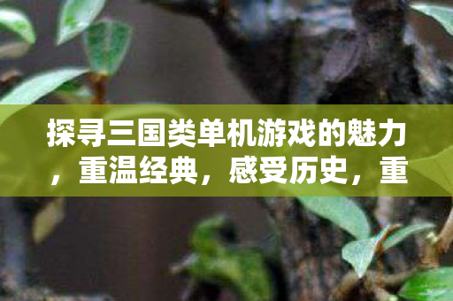 探寻三国类单机游戏的魅力,重温经典,感受历史,重温三国经典,探寻单机游戏魅力 探寻三国类单机游戏的魅力,重温经典,感受历史,重温三国经典,探寻单机游戏魅力