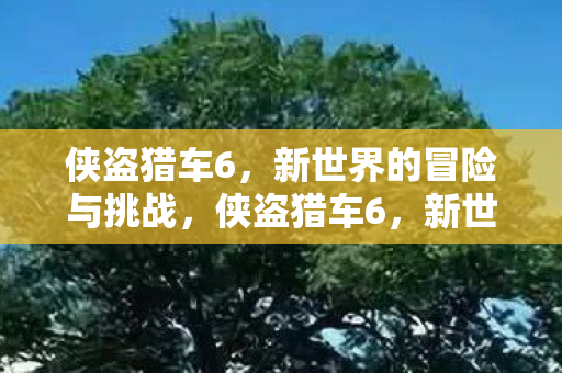 侠盗猎车6，新世界的冒险与挑战，侠盗猎车6，新世界冒险与挑战开启