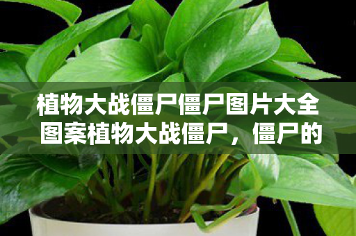 植物大战僵尸僵尸图片大全 图案植物大战僵尸，僵尸的奇妙世界，植物大战僵尸，僵尸的奇妙世界图片大全