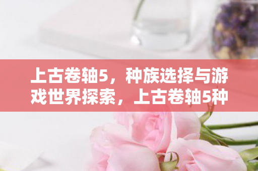 上古卷轴5，种族选择与游戏世界探索，上古卷轴5种族选择与探索之旅，解锁游戏世界的奥秘