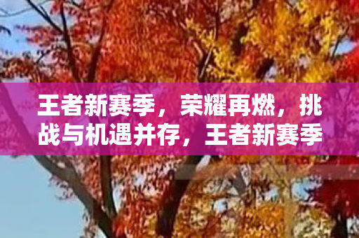 王者新赛季，荣耀再燃，挑战与机遇并存，王者新赛季，荣耀再燃，挑战与机遇并存