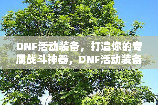 DNF活动装备，打造你的专属战斗神器，DNF活动装备，打造你的专属战斗神器