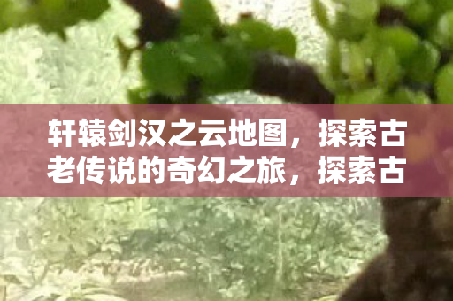 轩辕剑汉之云奇幻地图之旅图片