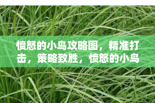 愤怒的小鸟攻略图图片