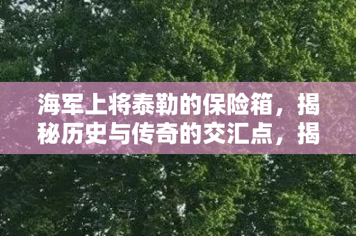 海军上将泰勒的保险箱,揭秘历史与传奇的交汇点,揭秘海军上将泰勒保险箱,历史与传奇的交汇点 海军上将泰勒的保险箱,揭秘历史与传奇的交汇点,揭秘海军上将泰勒保险箱,历史与传奇的交汇点