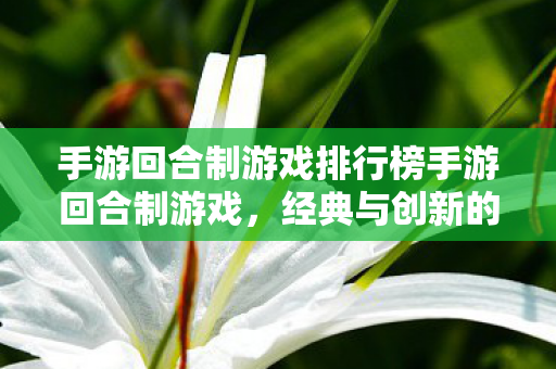手游回合制游戏排行榜手游回合制游戏，经典与创新的融合，经典与创新融合，手游回合制游戏排行榜