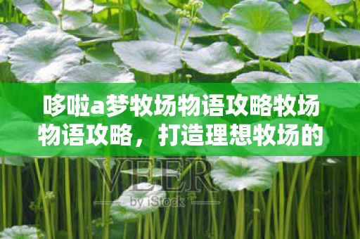 哆啦a梦牧场物语攻略牧场物语攻略，打造理想牧场的全面指南，哆啦A梦牧场物语打造理想牧场的全面攻略