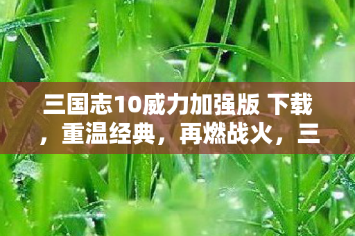 三国志10威力加强版 下载，重温经典，再燃战火，三国志10威力加强版，重温经典，再燃战火下载体验