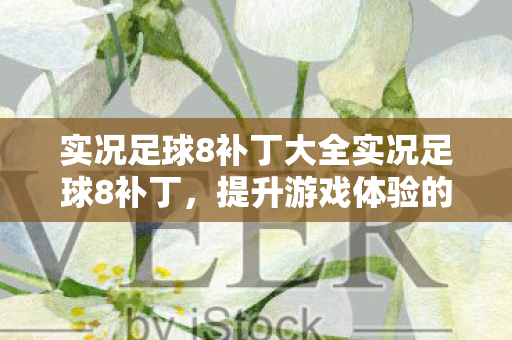 实况足球8补丁大全实况足球8补丁，提升游戏体验的必备神器，实况足球8补丁大全，提升游戏体验的必备神器