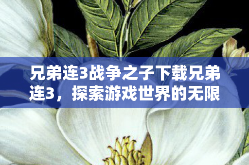 兄弟连3战争之子下载兄弟连3，探索游戏世界的无限可能，兄弟连3，战争之子下载，探索游戏世界的无限可能