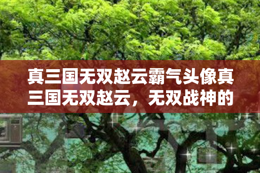 真三国无双赵云霸气头像真三国无双赵云，无双战神的传奇之路，真三国无双赵云，无双战神的传奇之路