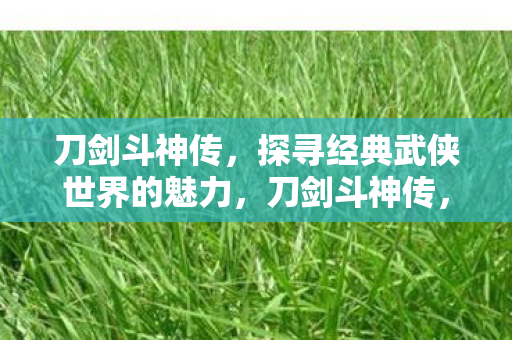 刀剑斗神传，探寻经典武侠世界的魅力，刀剑斗神传，探寻经典武侠世界的魅力