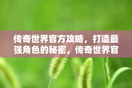 揭秘打造最强角色的秘密图片