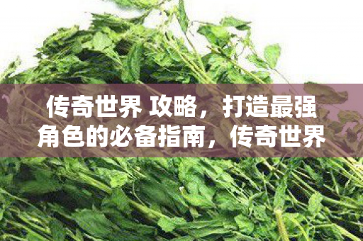 打造最强角色的必备指南图片