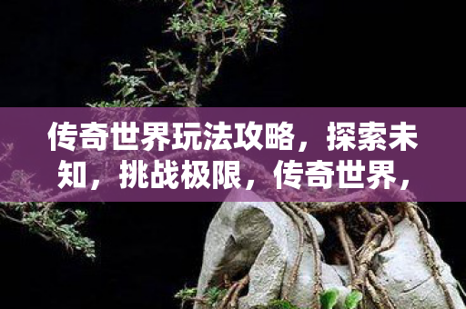 挑战极限的玩法攻略图片