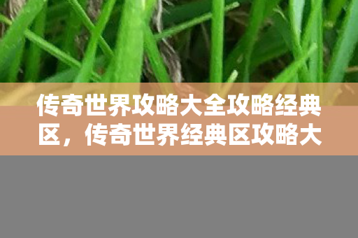 传奇世界攻略大全攻略经典区图片