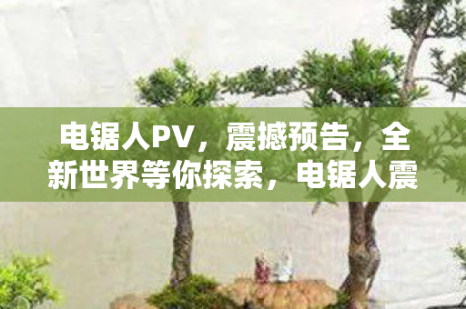 电锯人PV，震撼预告，全新世界等你探索，电锯人震撼PV，探索全新世界，惊险刺激之旅开启！