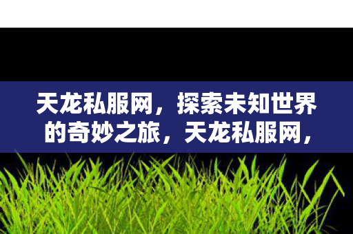 天龙私服网,探索未知世界的奇妙之旅,天龙私服网,开启探索未知世界的奇妙之旅 天龙私服网,探索未知世界的奇妙之旅,天龙私服网,开启探索未知世界的奇妙之旅