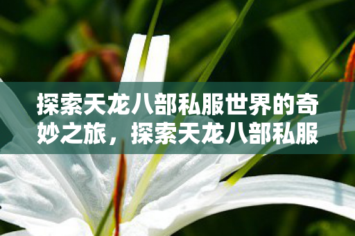 探索天龙八部私服世界的奇妙之旅图片