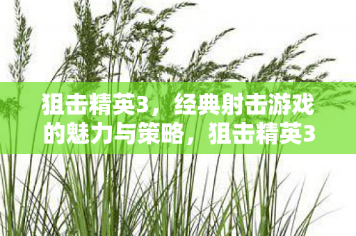 狙击精英3，经典射击游戏的魅力与策略，狙击精英3，经典射击游戏的魅力与策略