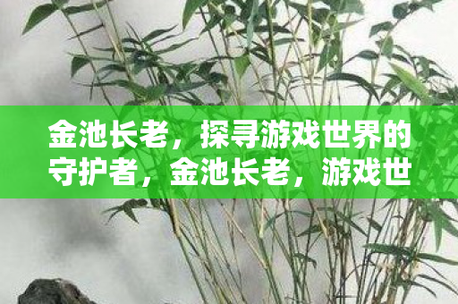 金池长老，探寻游戏世界的守护者，金池长老，游戏世界的守护者