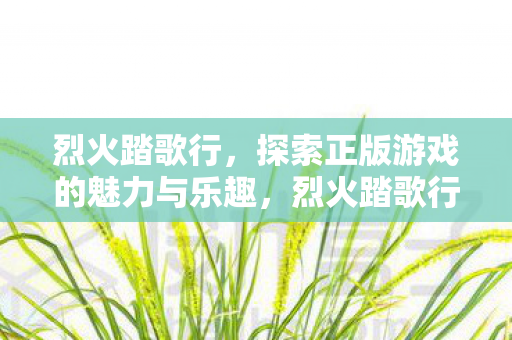 烈火踏歌行,探索正版游戏的魅力与乐趣,烈火踏歌行,探索正版游戏的魅力与乐趣 烈火踏歌行,探索正版游戏的魅力与乐趣,烈火踏歌行,探索正版游戏的魅力与乐趣