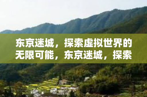 东京迷城,探索虚拟世界的无限可能,东京迷城,探索虚拟世界的无限可能 东京迷城,探索虚拟世界的无限可能,东京迷城,探索虚拟世界的无限可能