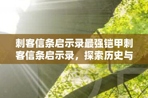 刺客信条启示录最强铠甲刺客信条启示录,探索历史与现实的交汇点,刺客信条启示录,最强铠甲,探索历史与现实的交汇点 刺客信条启示录最强铠甲刺客信条启示录,探索历史与现实的交汇点,刺客信条启示录,最强铠甲,探索历史与现实的交汇点
