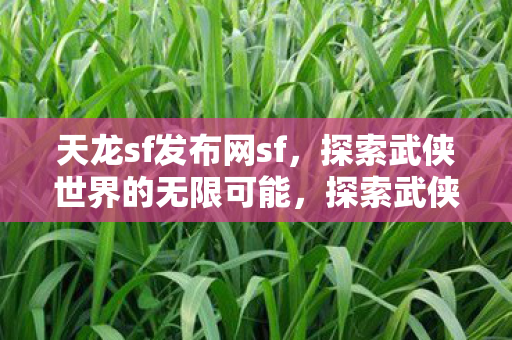 天龙sf发布网sf，探索武侠世界的无限可能，探索武侠世界的无限可能，天龙sf发布网sf