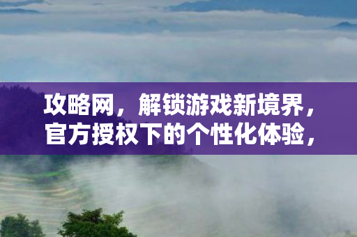 攻略网，解锁游戏新境界，官方授权下的个性化体验，解锁游戏新境界，攻略网官方授权下的个性化体验