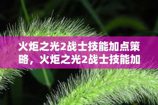 火炬之光2战士技能加点策略，火炬之光2战士技能加点策略全解析