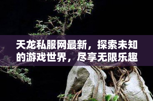 天龙私服网最新，探索未知的游戏世界，尽享无限乐趣，探索天龙私服网，开启无限游戏乐趣之旅