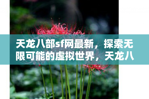 天龙八部sf网最新，探索无限可能的虚拟世界，天龙八部sf网最新更新，探索无限可能的虚拟世界