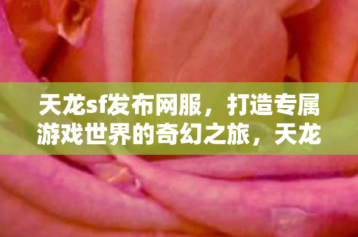 天龙sf发布网服，打造专属游戏世界的奇幻之旅，天龙sf发布网服，打造专属游戏世界的奇幻之旅