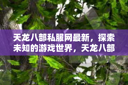 天龙八部私服网最新探索图片