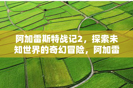 阿加雷斯特战记2，探索未知世界的奇幻冒险，阿加雷斯特战记2，探索未知世界的奇幻冒险之旅