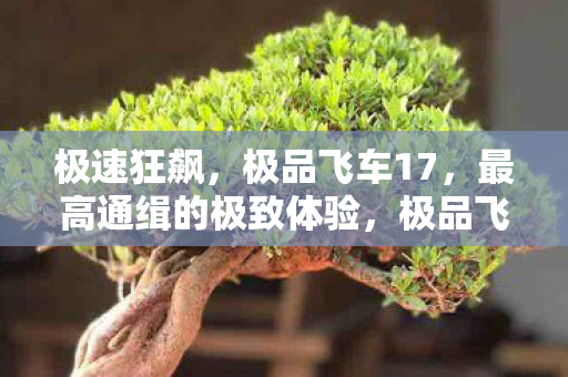 最高通缉的极致体验图片
