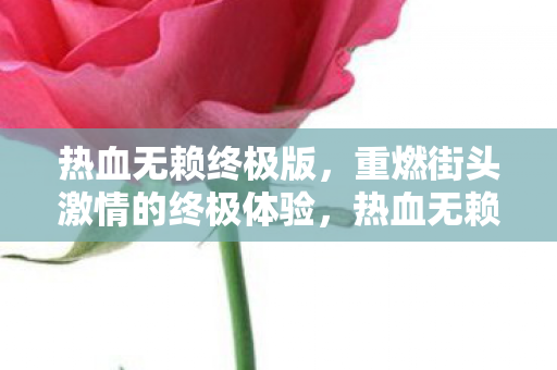 热血无赖终极版，重燃街头激情的终极体验，热血无赖终极版，重燃街头激情的终极体验