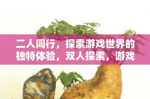 二人同行，探索游戏世界的独特体验，双人探索，游戏世界的独特体验