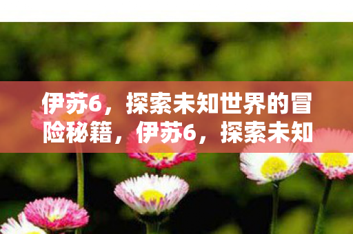 探索未知世界的冒险秘籍图片