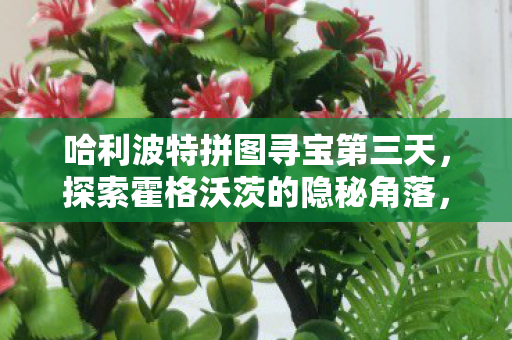 哈利波特拼图寻宝第三天，探索霍格沃茨的隐秘角落，霍格沃茨隐秘角落，哈利波特拼图寻宝第三天探索