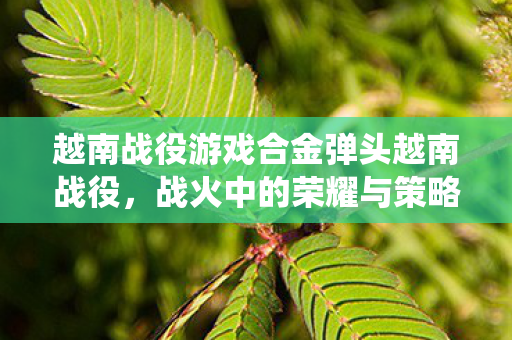 越南战役游戏合金弹头越南战役，战火中的荣耀与策略，合金弹头，越南战役中的荣耀与策略