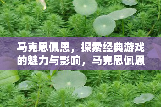 马克思佩恩,探索经典游戏的魅力与影响,马克思佩恩,经典游戏的魅力与影响探索 马克思佩恩,探索经典游戏的魅力与影响,马克思佩恩,经典游戏的魅力与影响探索